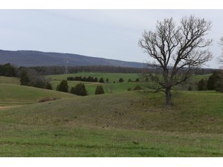 Property photo 37 - LAND AUCTION - 533+/- ACRES OFFERED IN 5 TRACTS IN HARDY COUNTY, WEST VIRGINIA