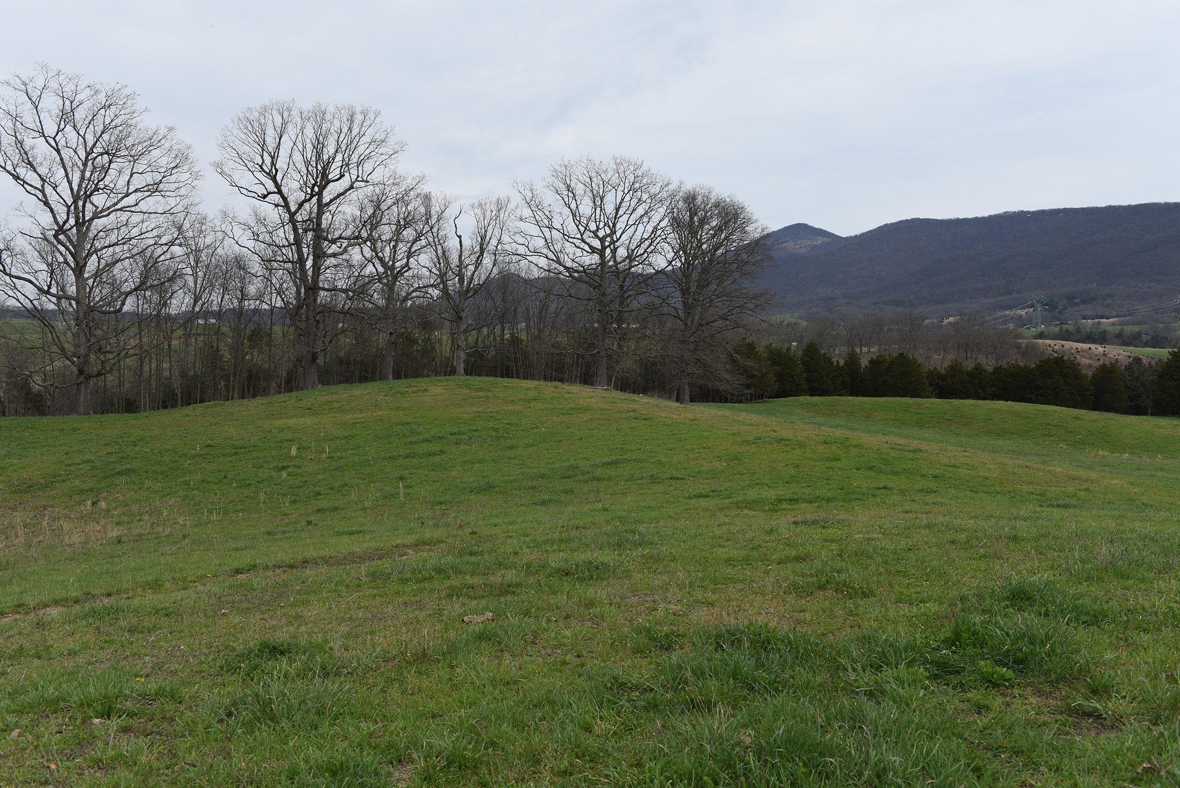 Property photo 34 - LAND AUCTION - 533+/- ACRES OFFERED IN 5 TRACTS IN HARDY COUNTY, WEST VIRGINIA