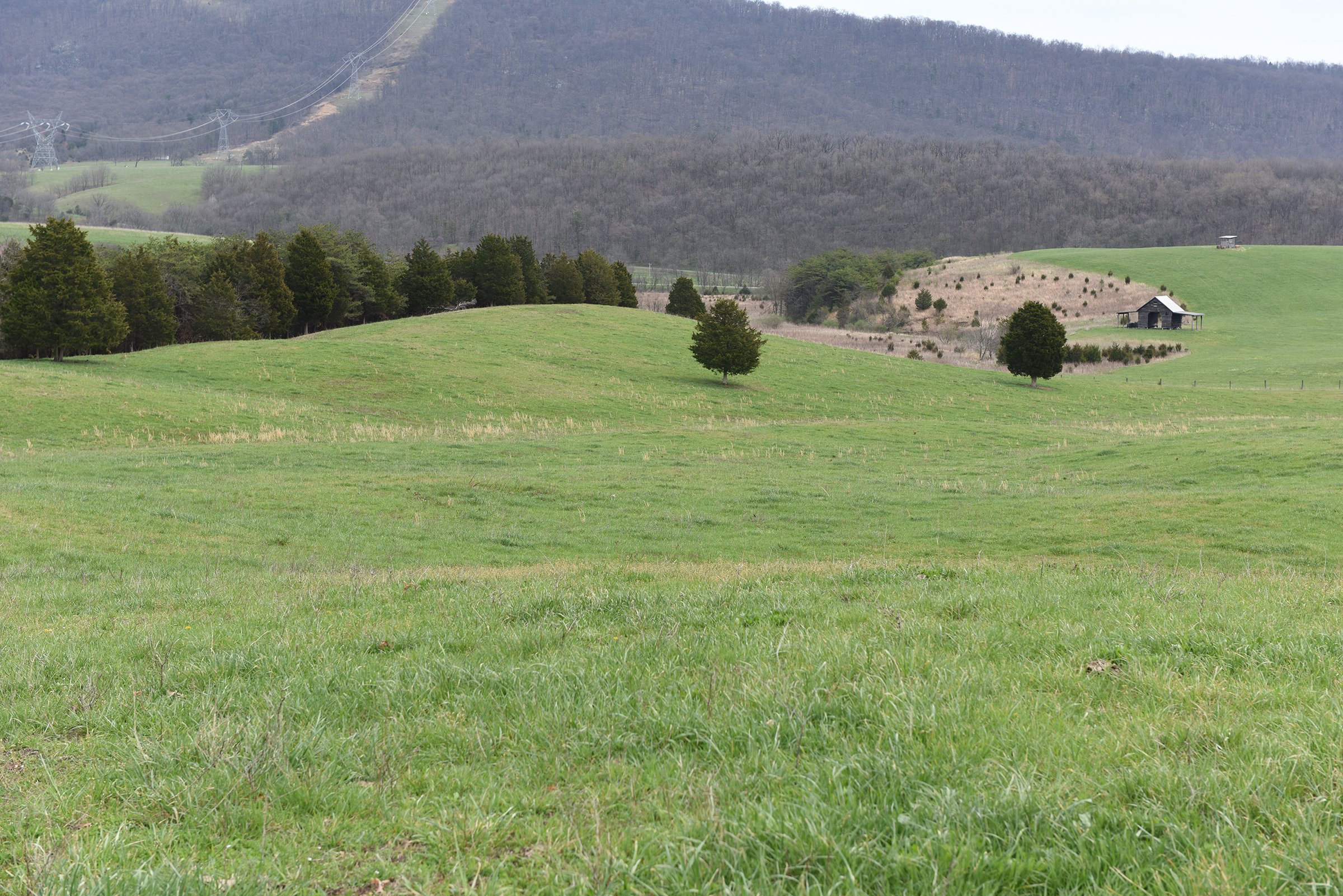 Property photo 42 - LAND AUCTION - 533+/- ACRES OFFERED IN 5 TRACTS IN HARDY COUNTY, WEST VIRGINIA
