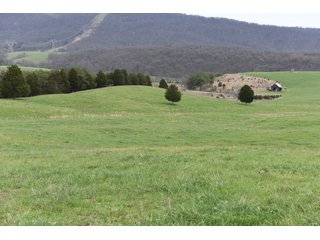 Property photo 42 - LAND AUCTION - 533+/- ACRES OFFERED IN 5 TRACTS IN HARDY COUNTY, WEST VIRGINIA