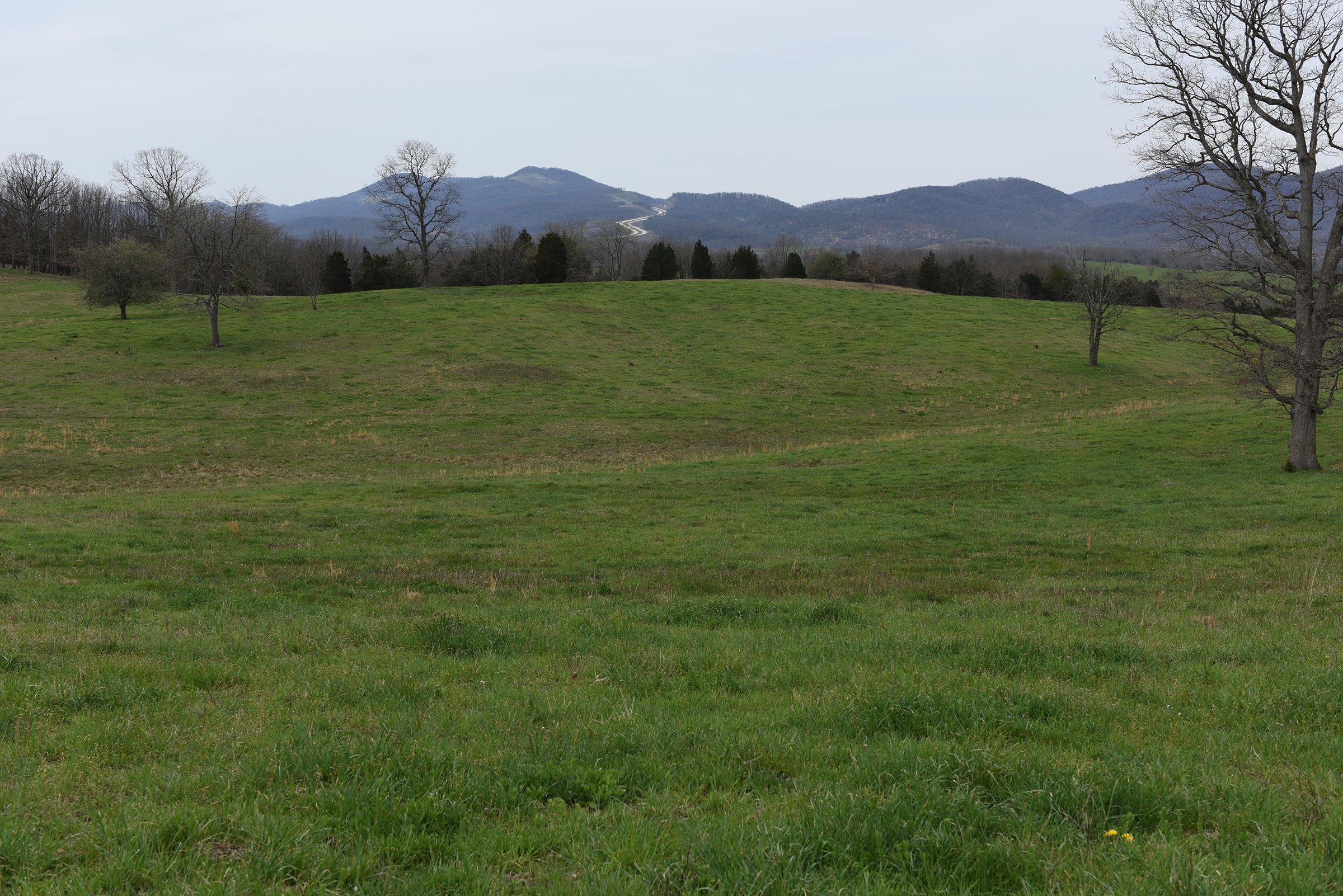 Property photo 64 - LAND AUCTION - 533+/- ACRES OFFERED IN 5 TRACTS IN HARDY COUNTY, WEST VIRGINIA