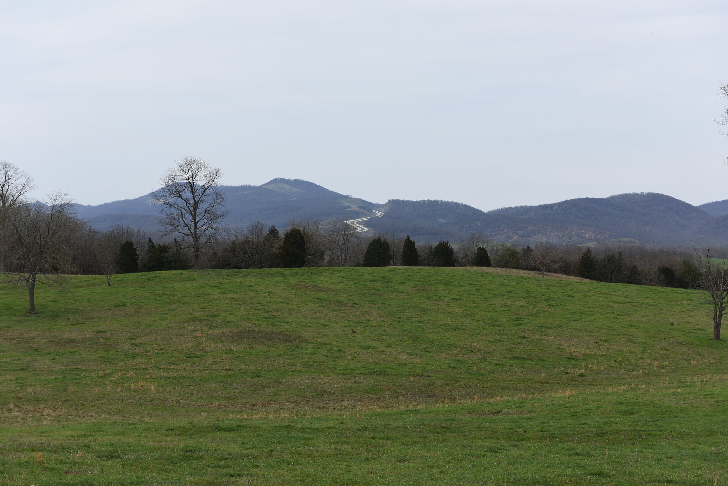 Property photo 82 - LAND AUCTION - 533+/- ACRES OFFERED IN 5 TRACTS IN HARDY COUNTY, WEST VIRGINIA