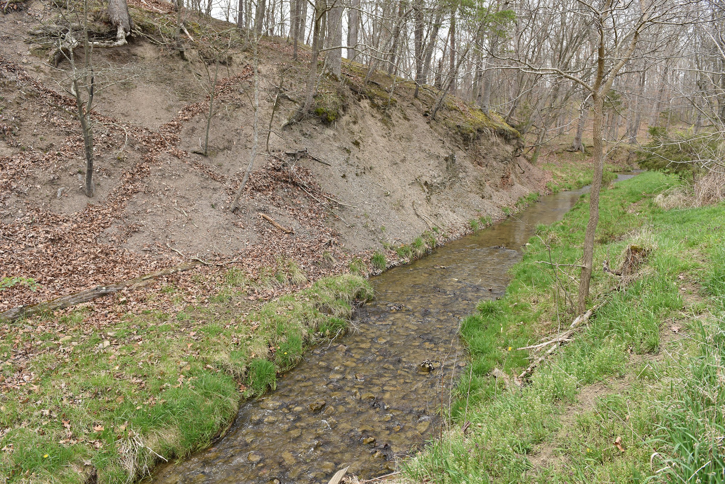 Property photo 77 - LAND AUCTION - 533+/- ACRES OFFERED IN 5 TRACTS IN HARDY COUNTY, WEST VIRGINIA