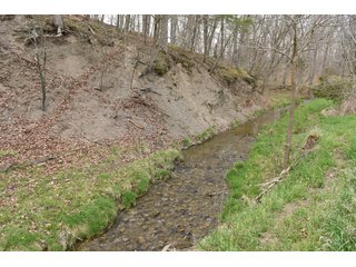 Property photo 77 - LAND AUCTION - 533+/- ACRES OFFERED IN 5 TRACTS IN HARDY COUNTY, WEST VIRGINIA