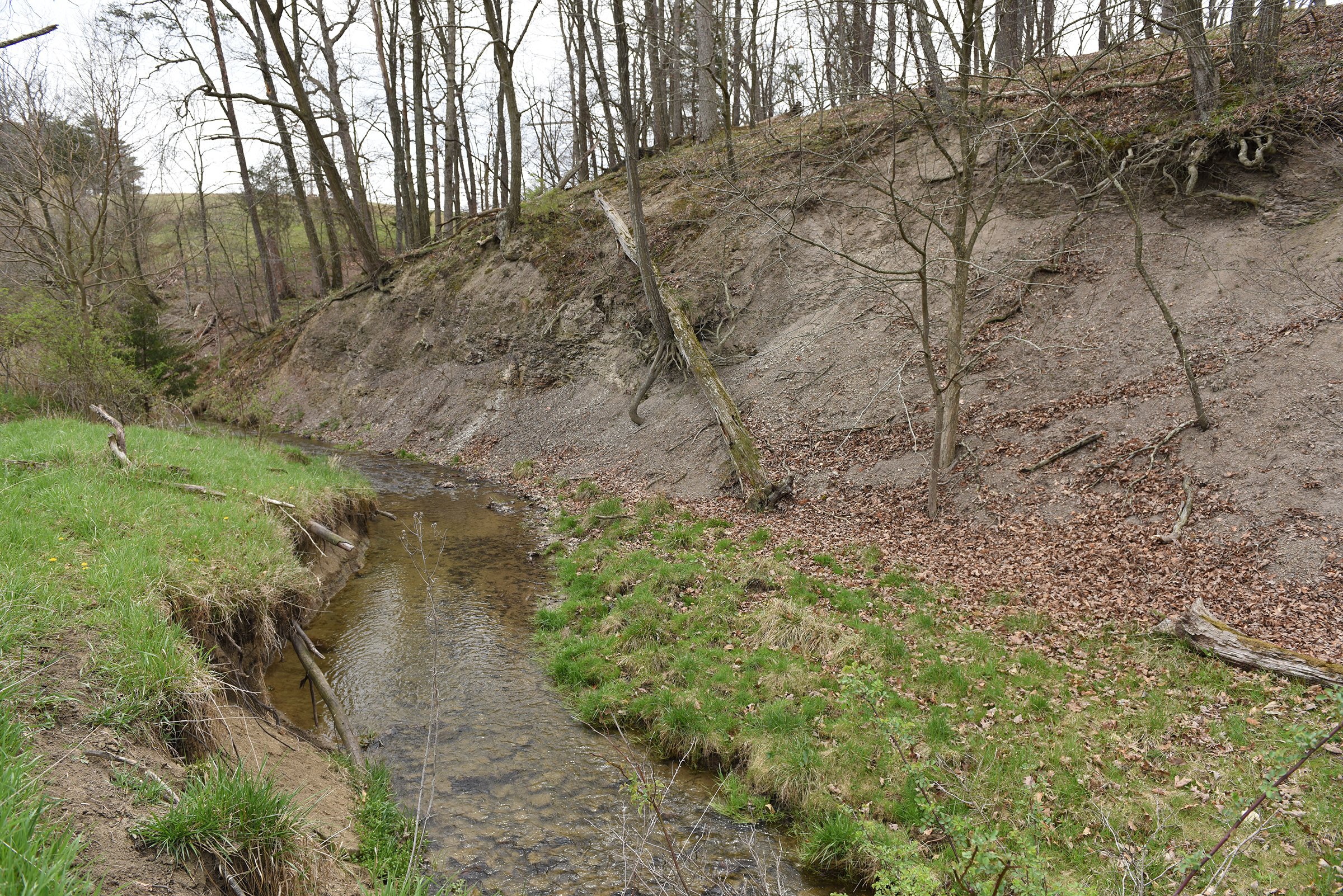 Property photo 76 - LAND AUCTION - 533+/- ACRES OFFERED IN 5 TRACTS IN HARDY COUNTY, WEST VIRGINIA
