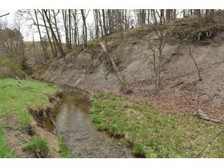 Property photo 76 - LAND AUCTION - 533+/- ACRES OFFERED IN 5 TRACTS IN HARDY COUNTY, WEST VIRGINIA