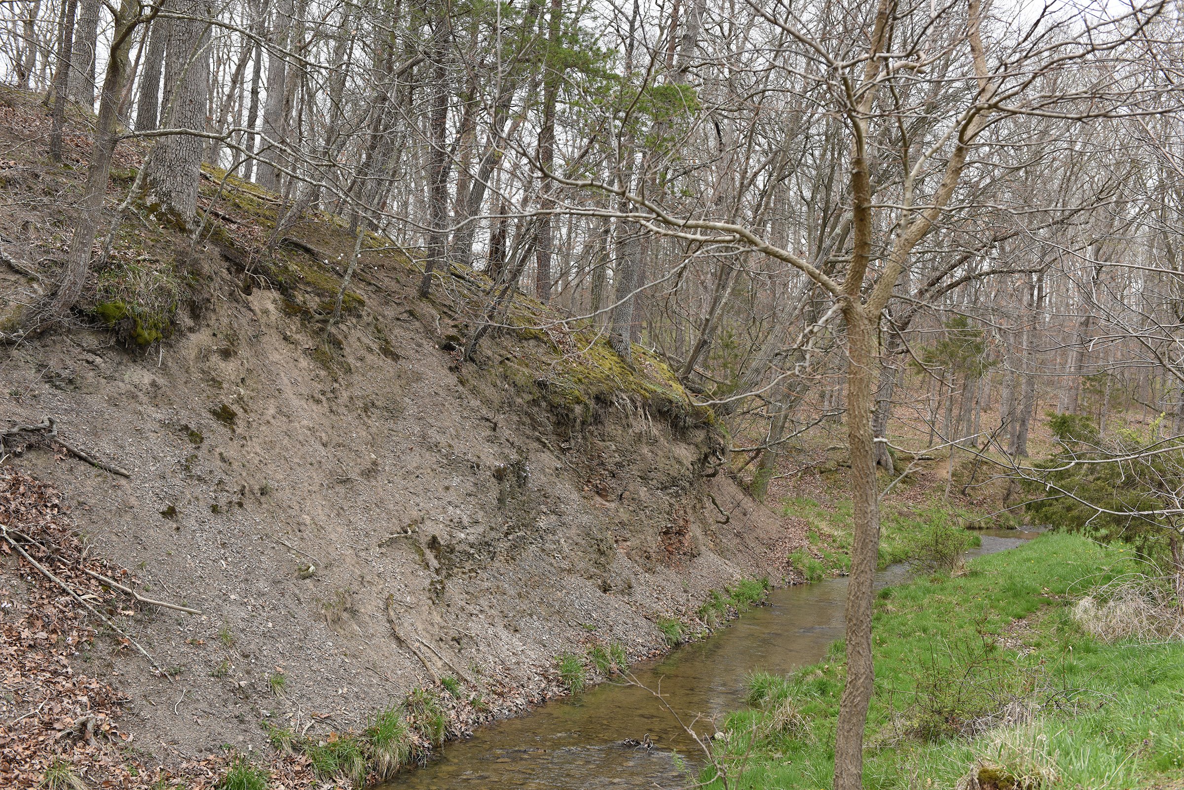 Property photo 75 - LAND AUCTION - 533+/- ACRES OFFERED IN 5 TRACTS IN HARDY COUNTY, WEST VIRGINIA