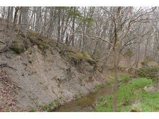 Property photo 75 - LAND AUCTION - 533+/- ACRES OFFERED IN 5 TRACTS IN HARDY COUNTY, WEST VIRGINIA