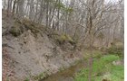 Property photo 75 - LAND AUCTION - 533+/- ACRES OFFERED IN 5 TRACTS IN HARDY COUNTY, WEST VIRGINIA