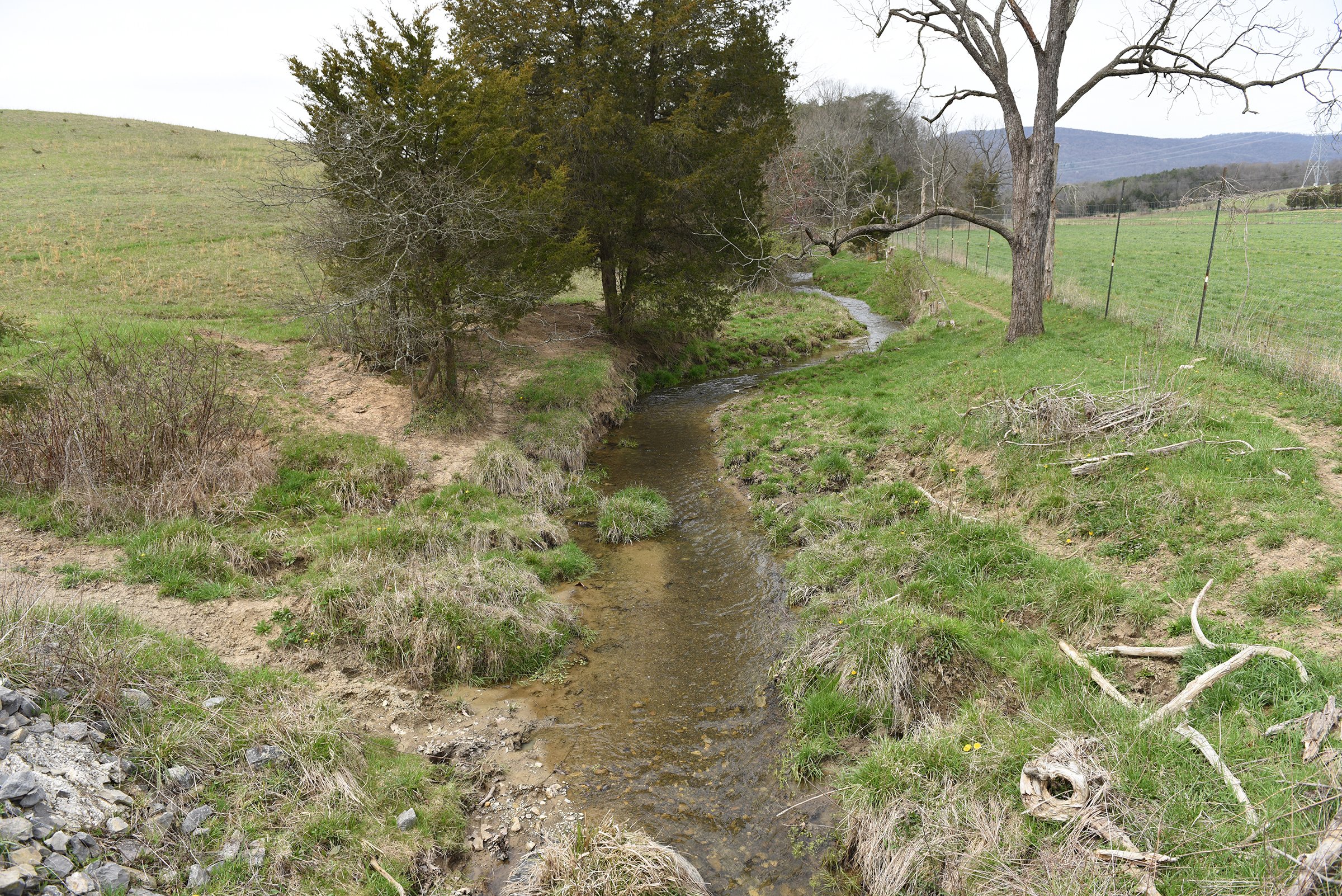 Property photo 78 - LAND AUCTION - 533+/- ACRES OFFERED IN 5 TRACTS IN HARDY COUNTY, WEST VIRGINIA