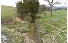 Property photo 78 - LAND AUCTION - 533+/- ACRES OFFERED IN 5 TRACTS IN HARDY COUNTY, WEST VIRGINIA