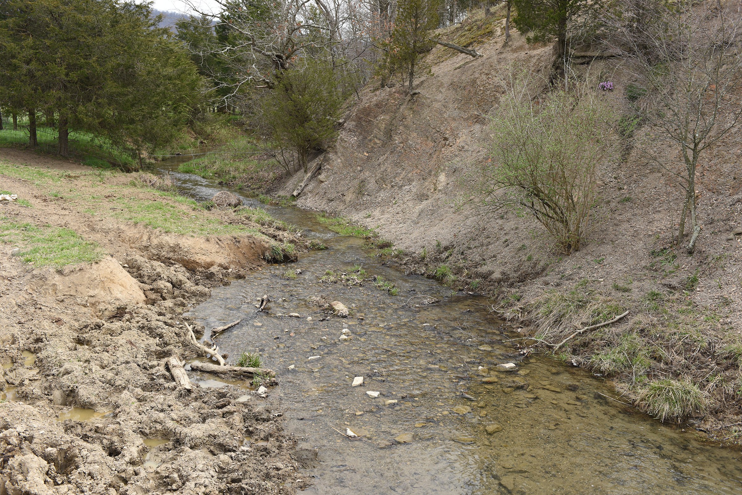 Property photo 79 - LAND AUCTION - 533+/- ACRES OFFERED IN 5 TRACTS IN HARDY COUNTY, WEST VIRGINIA