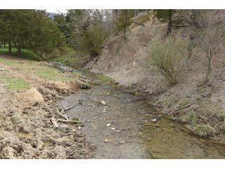 Property photo 79 - LAND AUCTION - 533+/- ACRES OFFERED IN 5 TRACTS IN HARDY COUNTY, WEST VIRGINIA