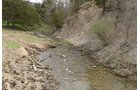 Property photo 79 - LAND AUCTION - 533+/- ACRES OFFERED IN 5 TRACTS IN HARDY COUNTY, WEST VIRGINIA