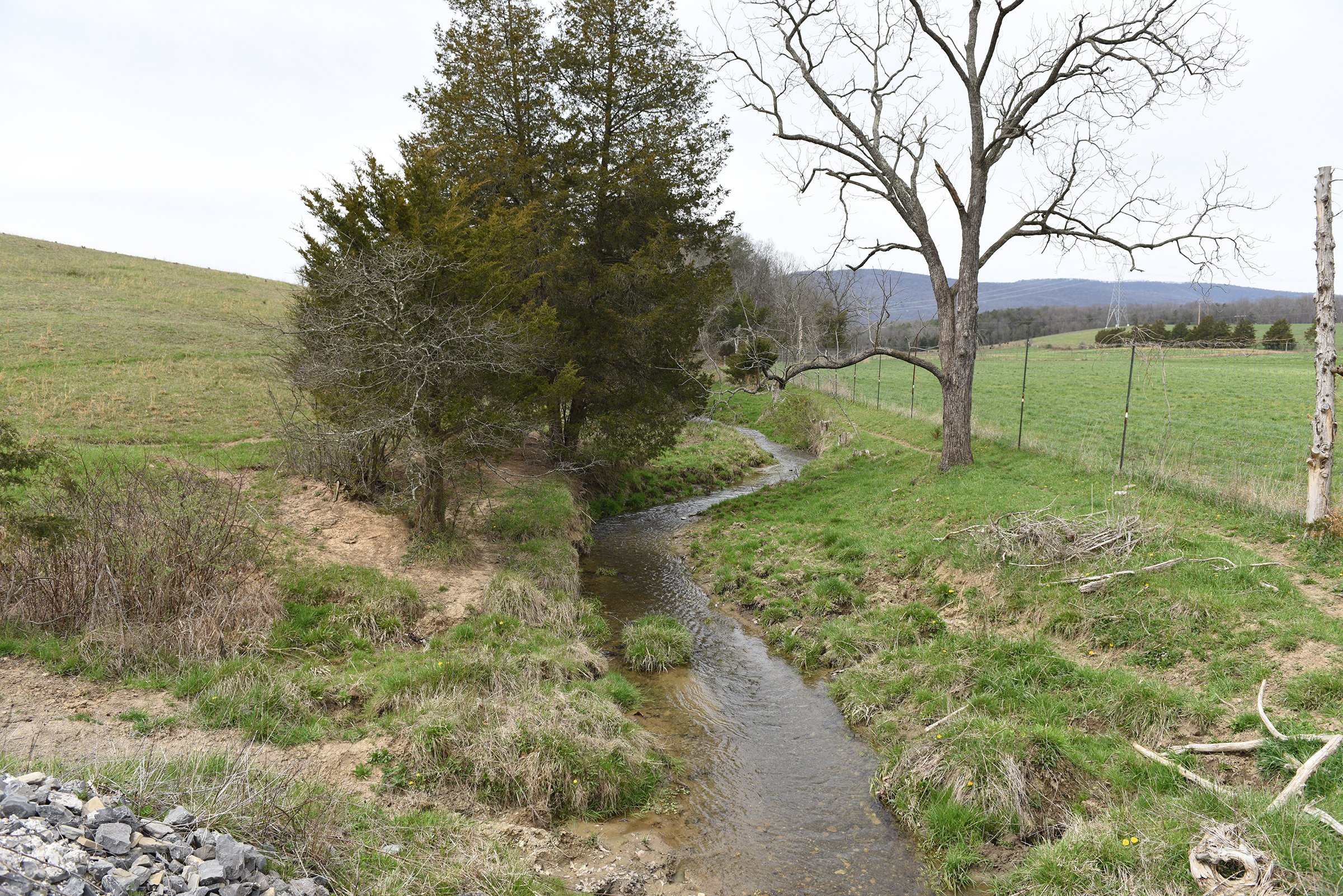 Property photo 80 - LAND AUCTION - 533+/- ACRES OFFERED IN 5 TRACTS IN HARDY COUNTY, WEST VIRGINIA
