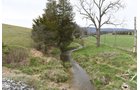 Property photo 80 - LAND AUCTION - 533+/- ACRES OFFERED IN 5 TRACTS IN HARDY COUNTY, WEST VIRGINIA