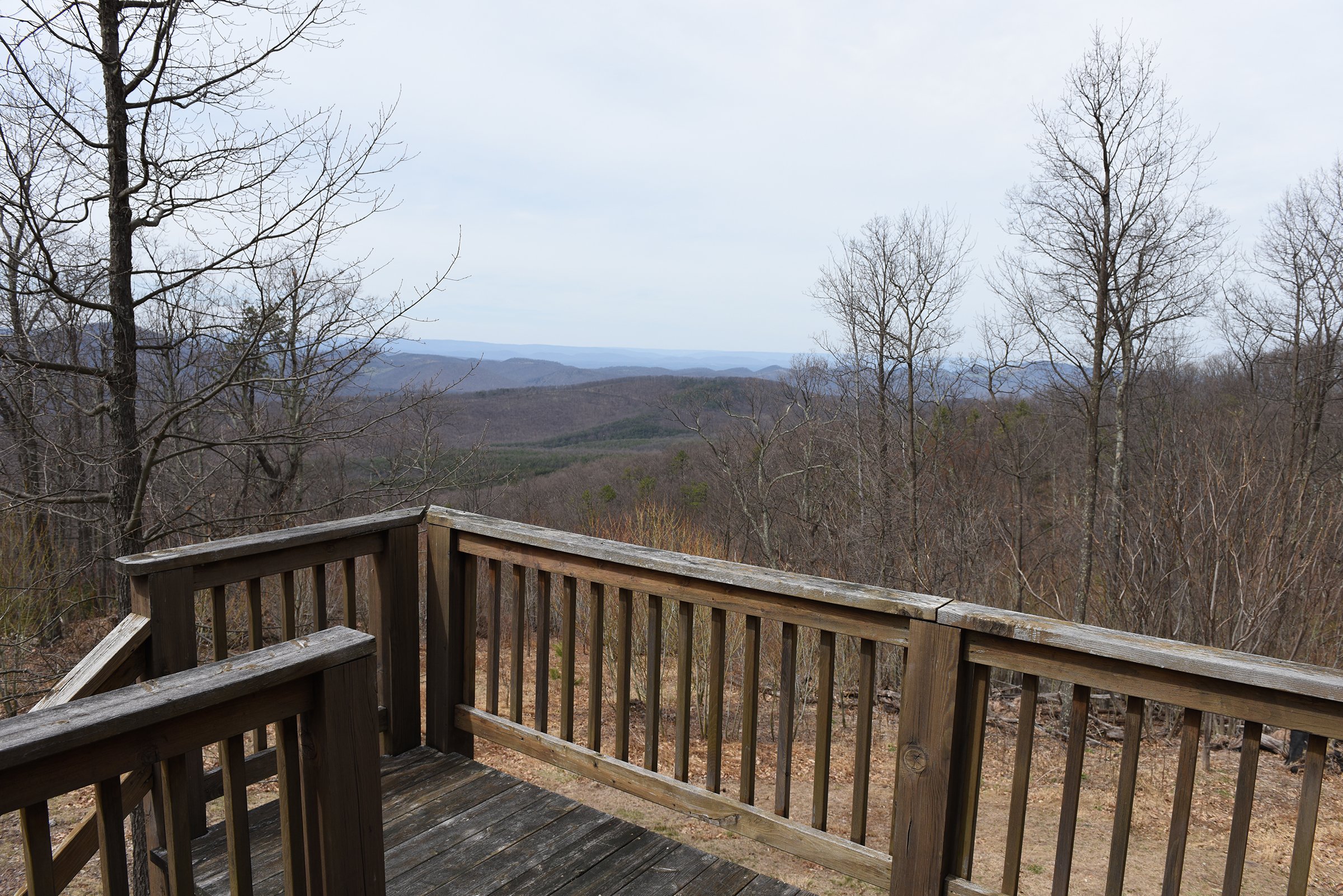 Property photo 31 - LAND AUCTION - 533+/- ACRES OFFERED IN 5 TRACTS IN HARDY COUNTY, WEST VIRGINIA