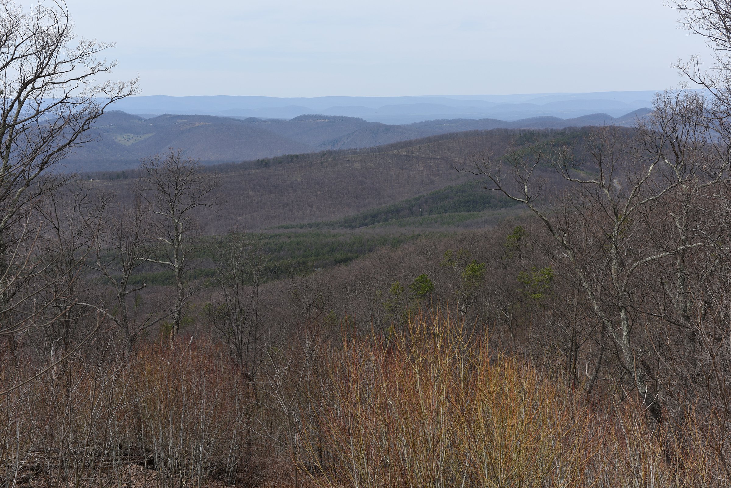 Property photo 24 - LAND AUCTION - 533+/- ACRES OFFERED IN 5 TRACTS IN HARDY COUNTY, WEST VIRGINIA