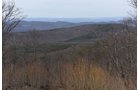 Property photo 24 - LAND AUCTION - 533+/- ACRES OFFERED IN 5 TRACTS IN HARDY COUNTY, WEST VIRGINIA
