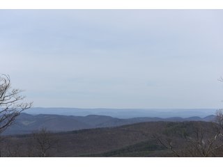 Property photo 81 - LAND AUCTION - 533+/- ACRES OFFERED IN 5 TRACTS IN HARDY COUNTY, WEST VIRGINIA