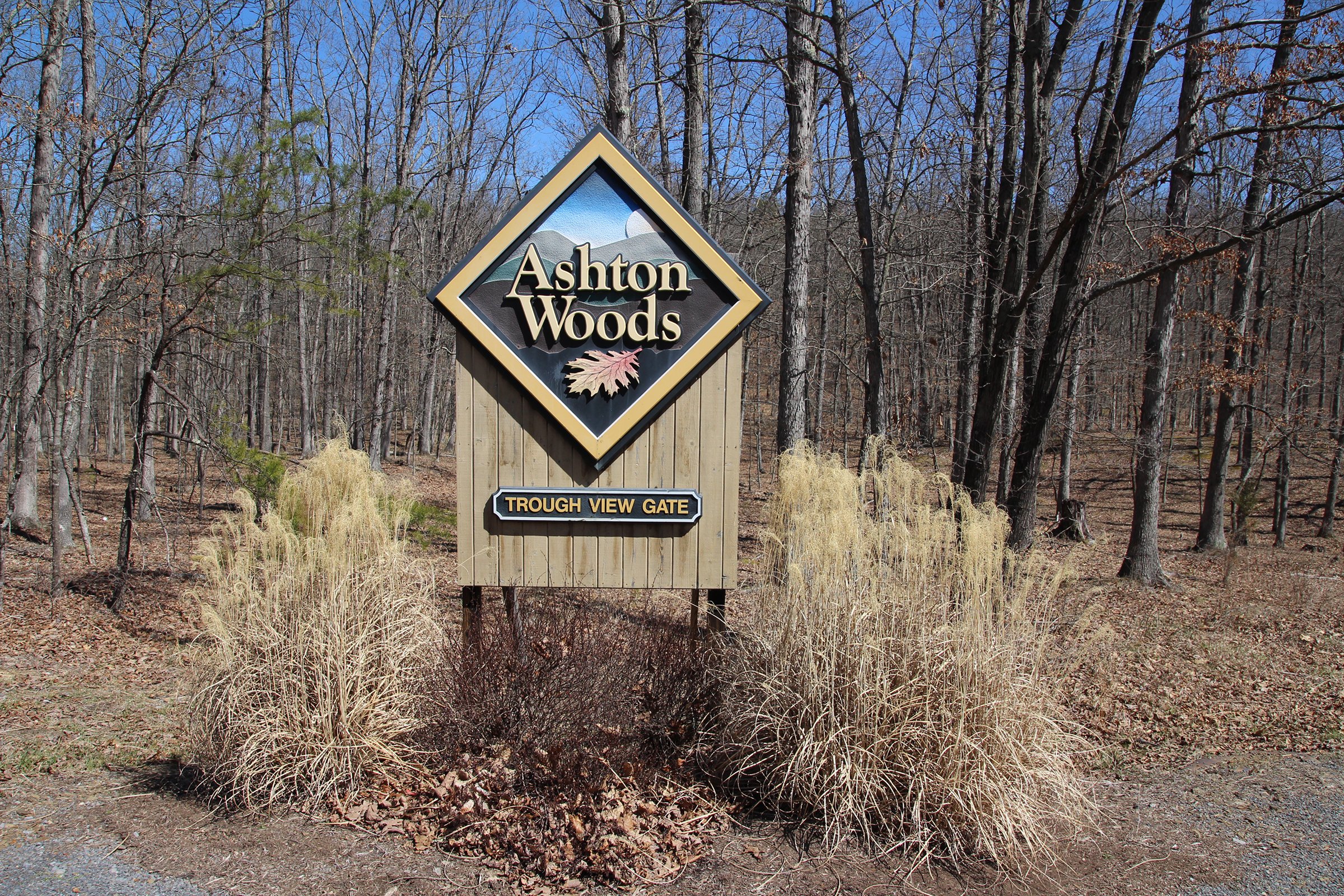 Property photo 22 - LAND AUCTION - 533+/- ACRES OFFERED IN 5 TRACTS IN HARDY COUNTY, WEST VIRGINIA