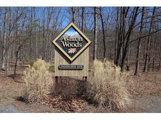 Property photo 22 - LAND AUCTION - 533+/- ACRES OFFERED IN 5 TRACTS IN HARDY COUNTY, WEST VIRGINIA