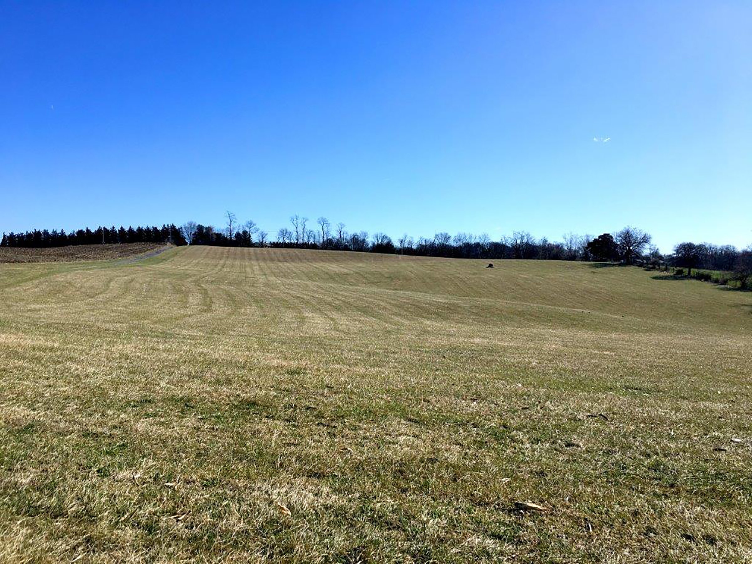 Tract 2 - Frederick Co, MD - ABSOLUTE REAL ESTATE AUCTION - 222.5+/- ACRES OFFERED IN 7 TRACTS IN FREDERICK CO., MD, LOUDOUN CO., VA & JEFFERSON CO., WV