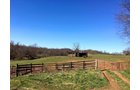 Tract 2 - Frederick Co, MD - ABSOLUTE REAL ESTATE AUCTION - 222.5+/- ACRES OFFERED IN 7 TRACTS IN FREDERICK CO., MD, LOUDOUN CO., VA & JEFFERSON CO., WV