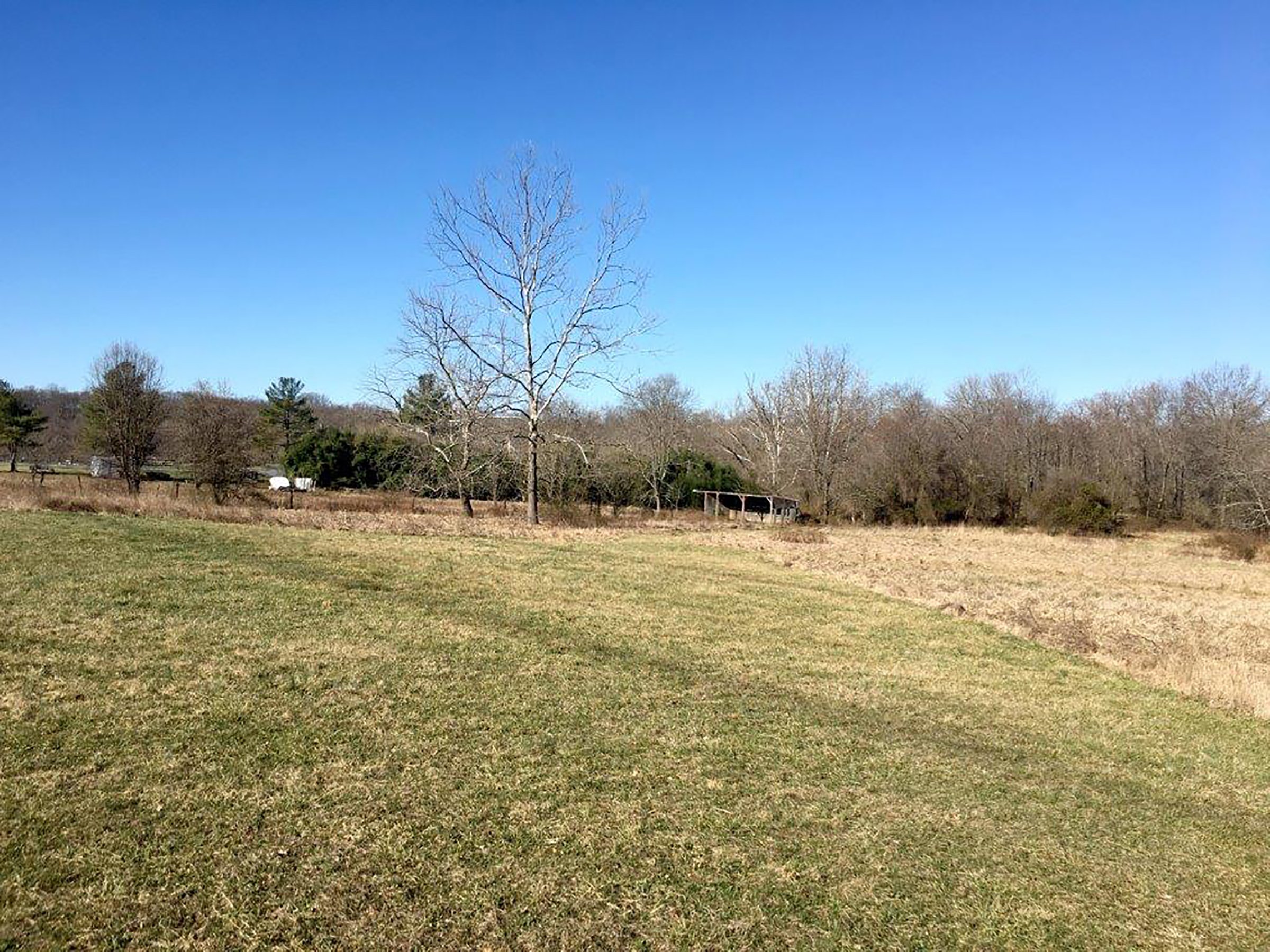 Tract 4 - Tract 4 - Frederick Co, MD - ABSOLUTE REAL ESTATE AUCTION - 222.5+/- ACRES OFFERED IN 7 TRACTS IN FREDERICK CO., MD, LOUDOUN CO., VA & JEFFERSON CO., WV