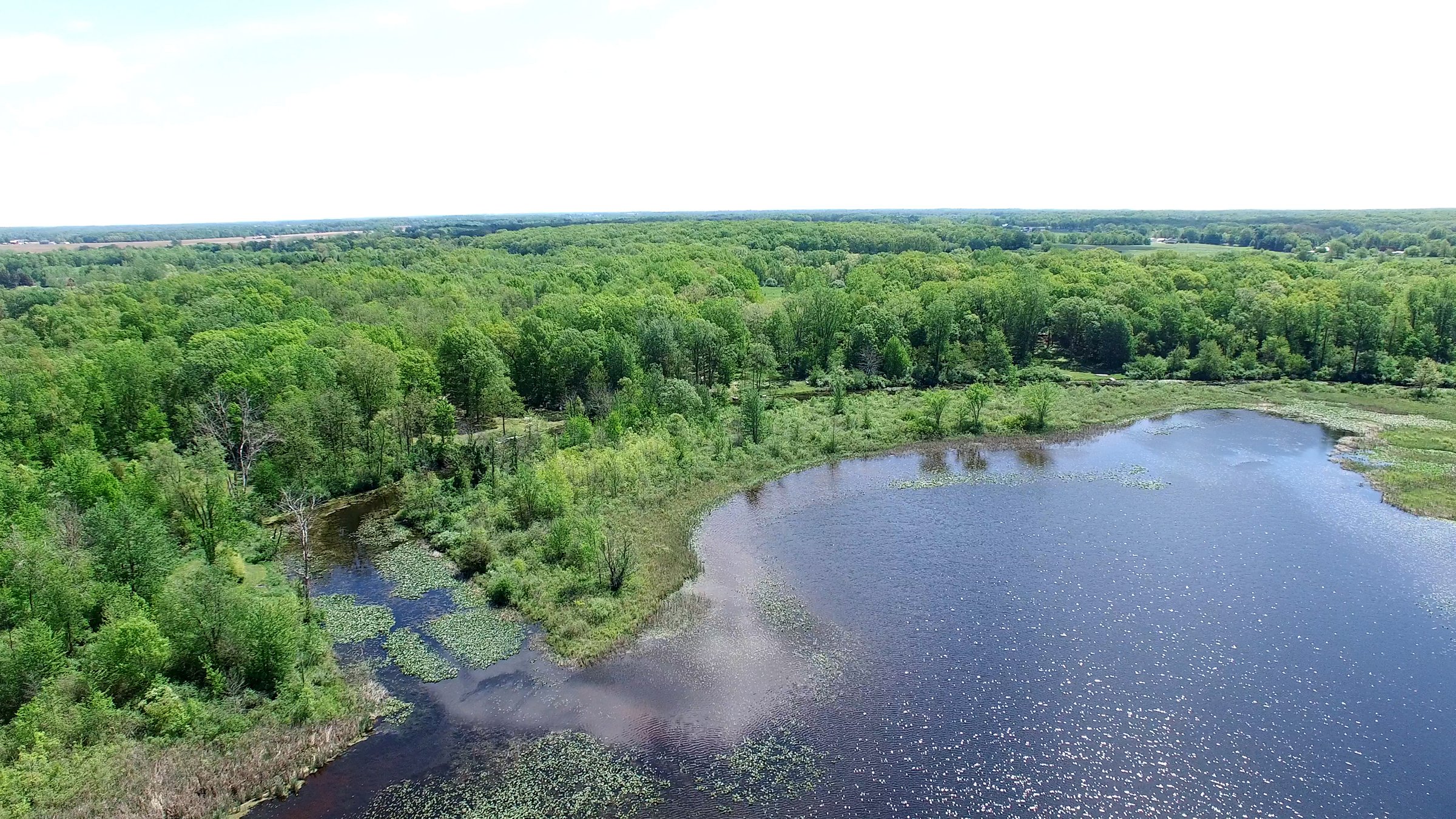 Property photo 2 - ONCE IN A LIFETIME OPPORTUNITY AUCTION - 183+/- ACRES IN 27 TRACTS IN BRANCH COUNTY, MICHIGAN