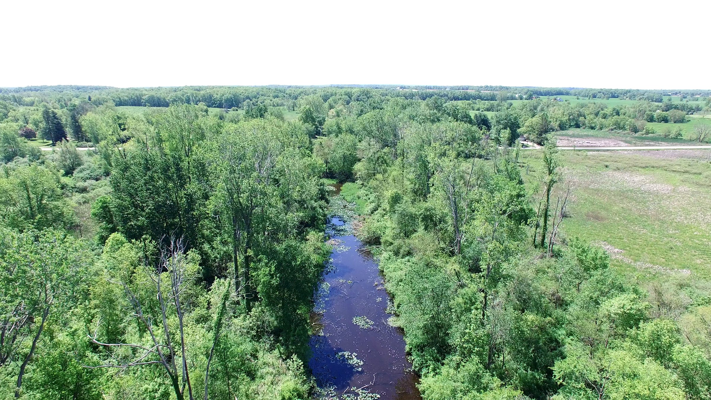 Property photo 4 - ONCE IN A LIFETIME OPPORTUNITY AUCTION - 183+/- ACRES IN 27 TRACTS IN BRANCH COUNTY, MICHIGAN