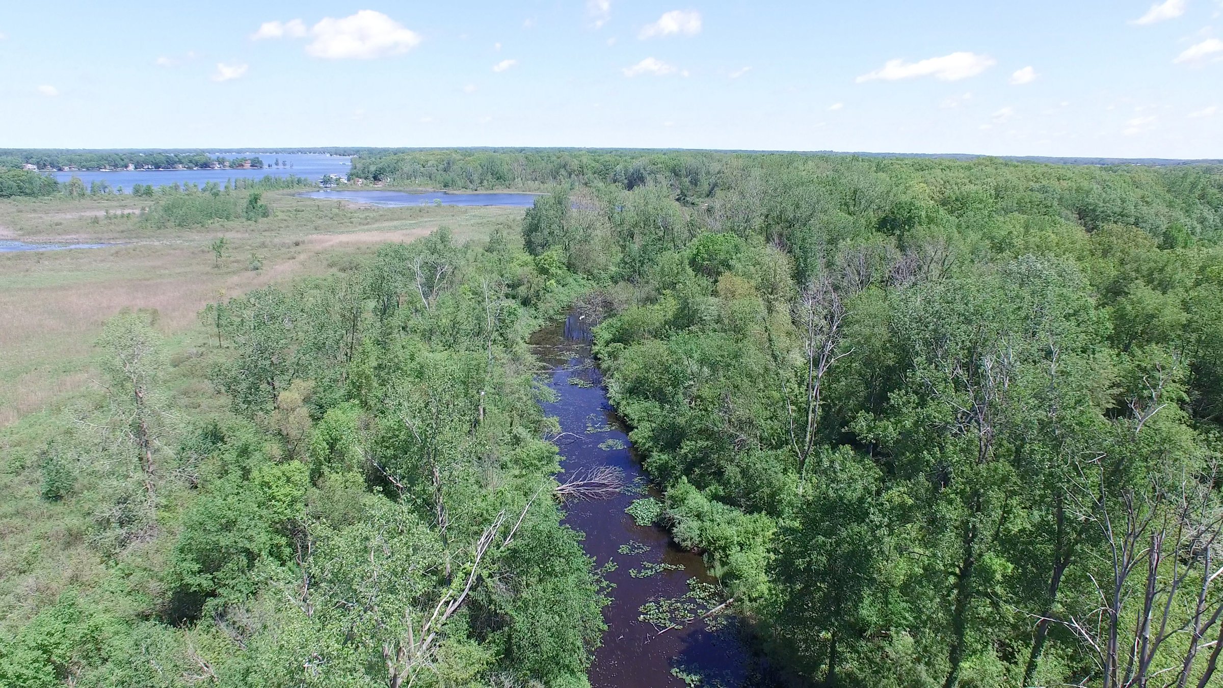 Property photo 5 - ONCE IN A LIFETIME OPPORTUNITY AUCTION - 183+/- ACRES IN 27 TRACTS IN BRANCH COUNTY, MICHIGAN