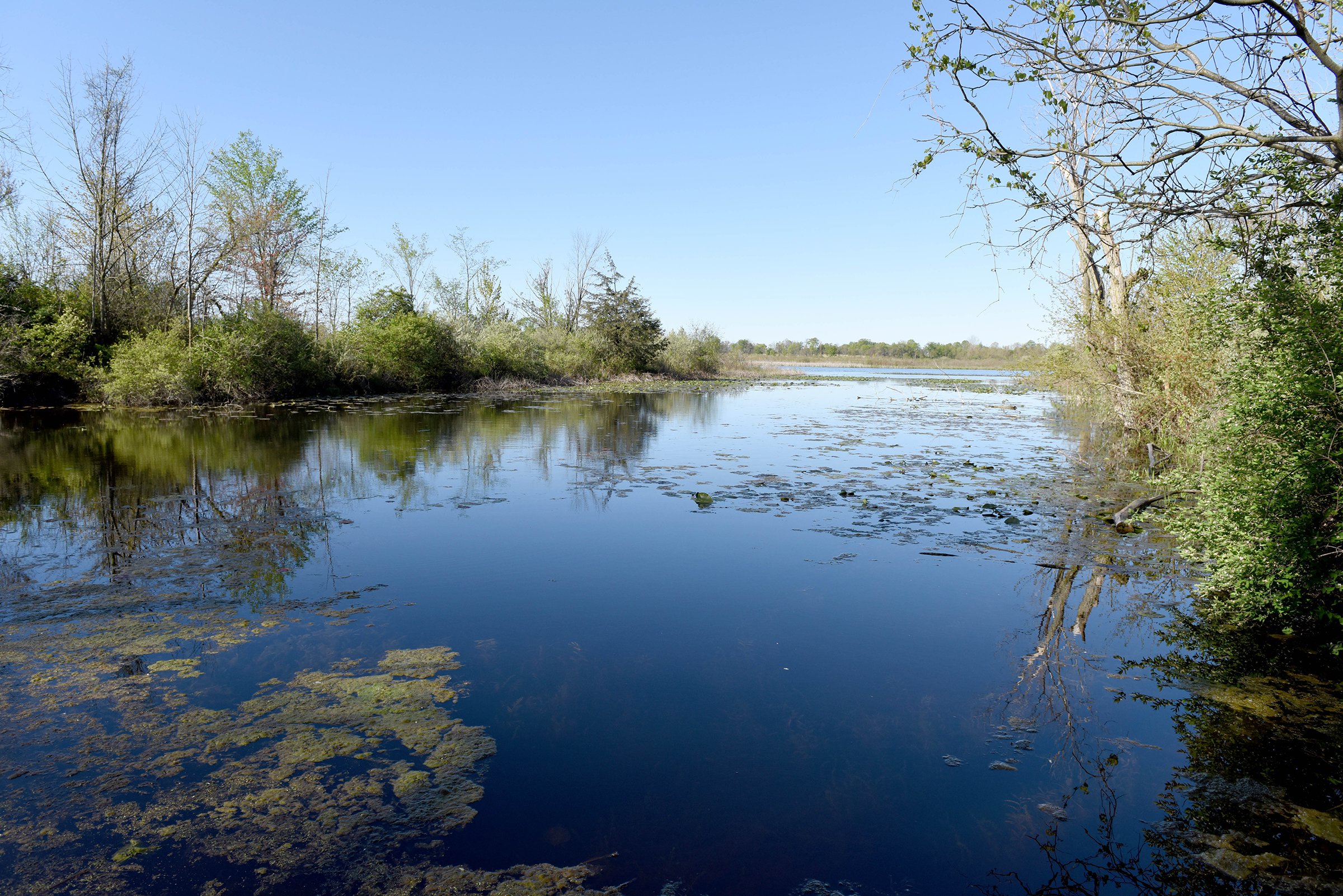 Property photo 29 - ONCE IN A LIFETIME OPPORTUNITY AUCTION - 183+/- ACRES IN 27 TRACTS IN BRANCH COUNTY, MICHIGAN