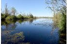 Property photo 29 - ONCE IN A LIFETIME OPPORTUNITY AUCTION - 183+/- ACRES IN 27 TRACTS IN BRANCH COUNTY, MICHIGAN