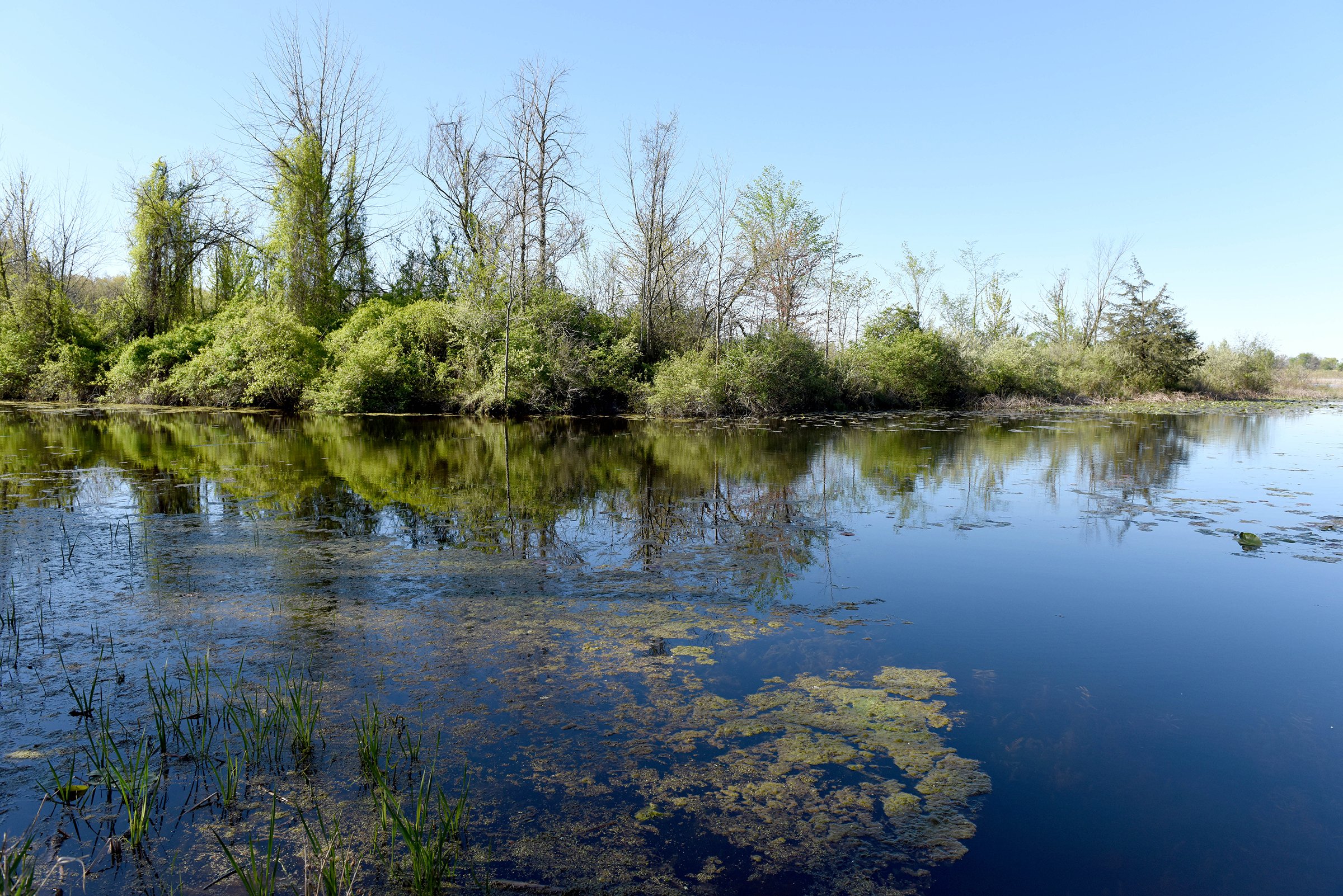 Property photo 31 - ONCE IN A LIFETIME OPPORTUNITY AUCTION - 183+/- ACRES IN 27 TRACTS IN BRANCH COUNTY, MICHIGAN