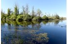 Property photo 31 - ONCE IN A LIFETIME OPPORTUNITY AUCTION - 183+/- ACRES IN 27 TRACTS IN BRANCH COUNTY, MICHIGAN