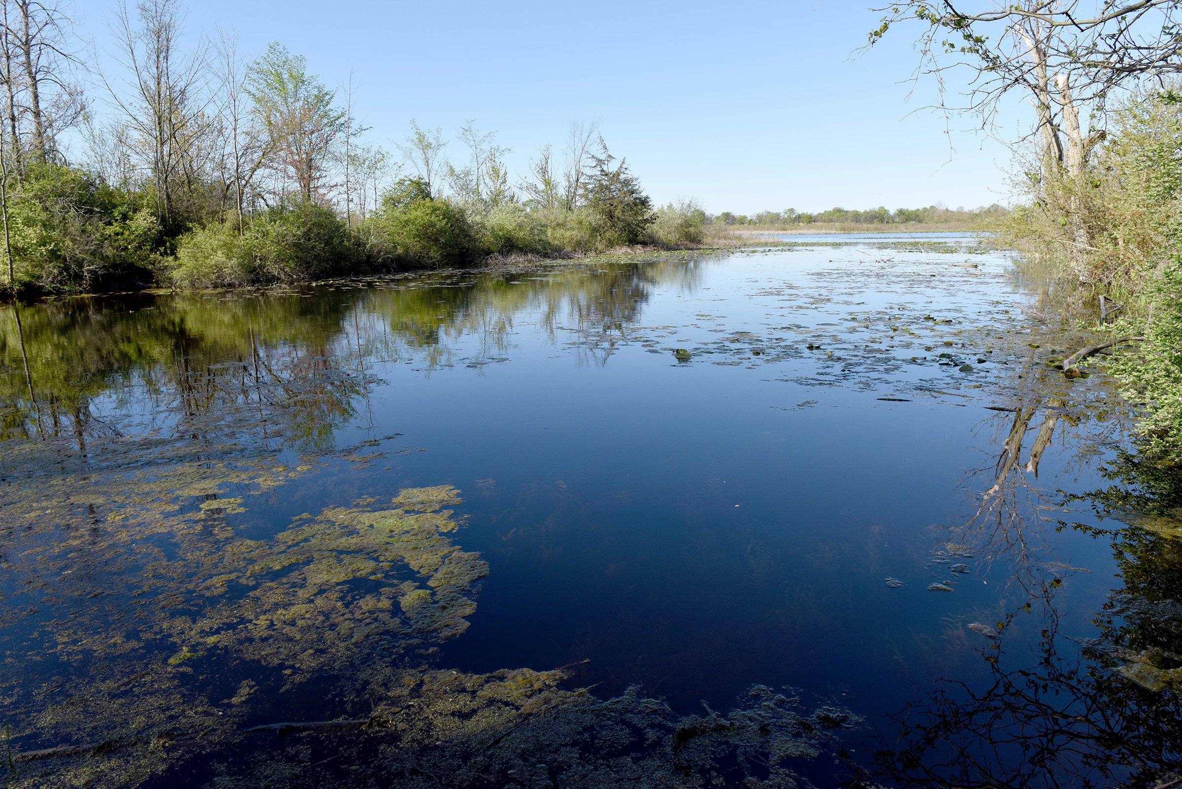 Property photo 27 - ONCE IN A LIFETIME OPPORTUNITY AUCTION - 183+/- ACRES IN 27 TRACTS IN BRANCH COUNTY, MICHIGAN
