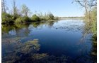 Property photo 27 - ONCE IN A LIFETIME OPPORTUNITY AUCTION - 183+/- ACRES IN 27 TRACTS IN BRANCH COUNTY, MICHIGAN