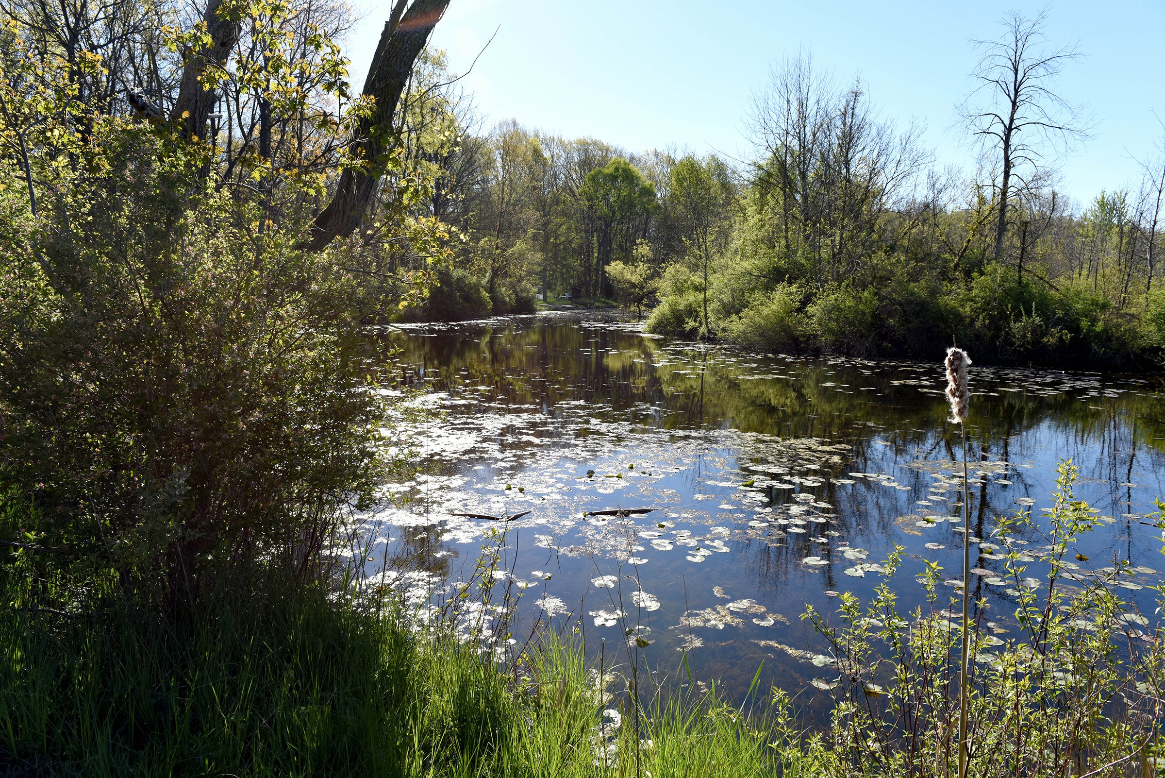 Property photo 26 - ONCE IN A LIFETIME OPPORTUNITY AUCTION - 183+/- ACRES IN 27 TRACTS IN BRANCH COUNTY, MICHIGAN