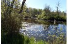 Property photo 26 - ONCE IN A LIFETIME OPPORTUNITY AUCTION - 183+/- ACRES IN 27 TRACTS IN BRANCH COUNTY, MICHIGAN