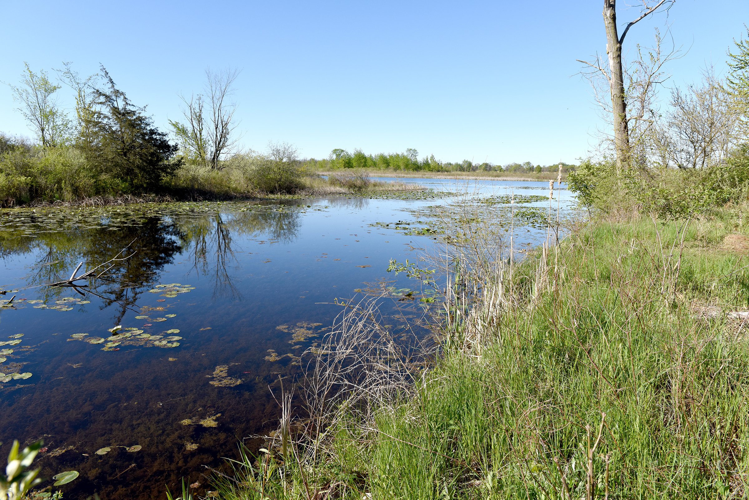 Property photo 25 - ONCE IN A LIFETIME OPPORTUNITY AUCTION - 183+/- ACRES IN 27 TRACTS IN BRANCH COUNTY, MICHIGAN