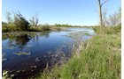 Property photo 25 - ONCE IN A LIFETIME OPPORTUNITY AUCTION - 183+/- ACRES IN 27 TRACTS IN BRANCH COUNTY, MICHIGAN