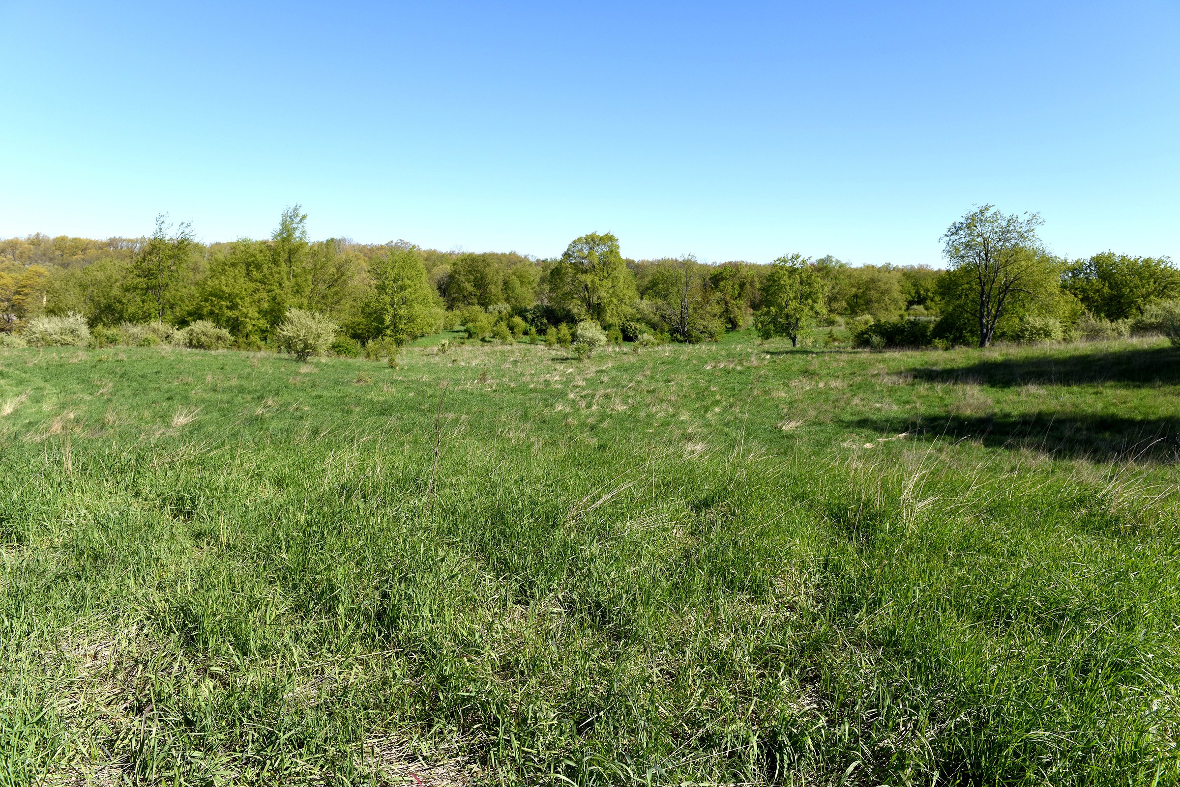 Property photo 43 - ONCE IN A LIFETIME OPPORTUNITY AUCTION - 183+/- ACRES IN 27 TRACTS IN BRANCH COUNTY, MICHIGAN