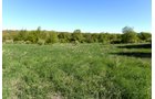Property photo 43 - ONCE IN A LIFETIME OPPORTUNITY AUCTION - 183+/- ACRES IN 27 TRACTS IN BRANCH COUNTY, MICHIGAN