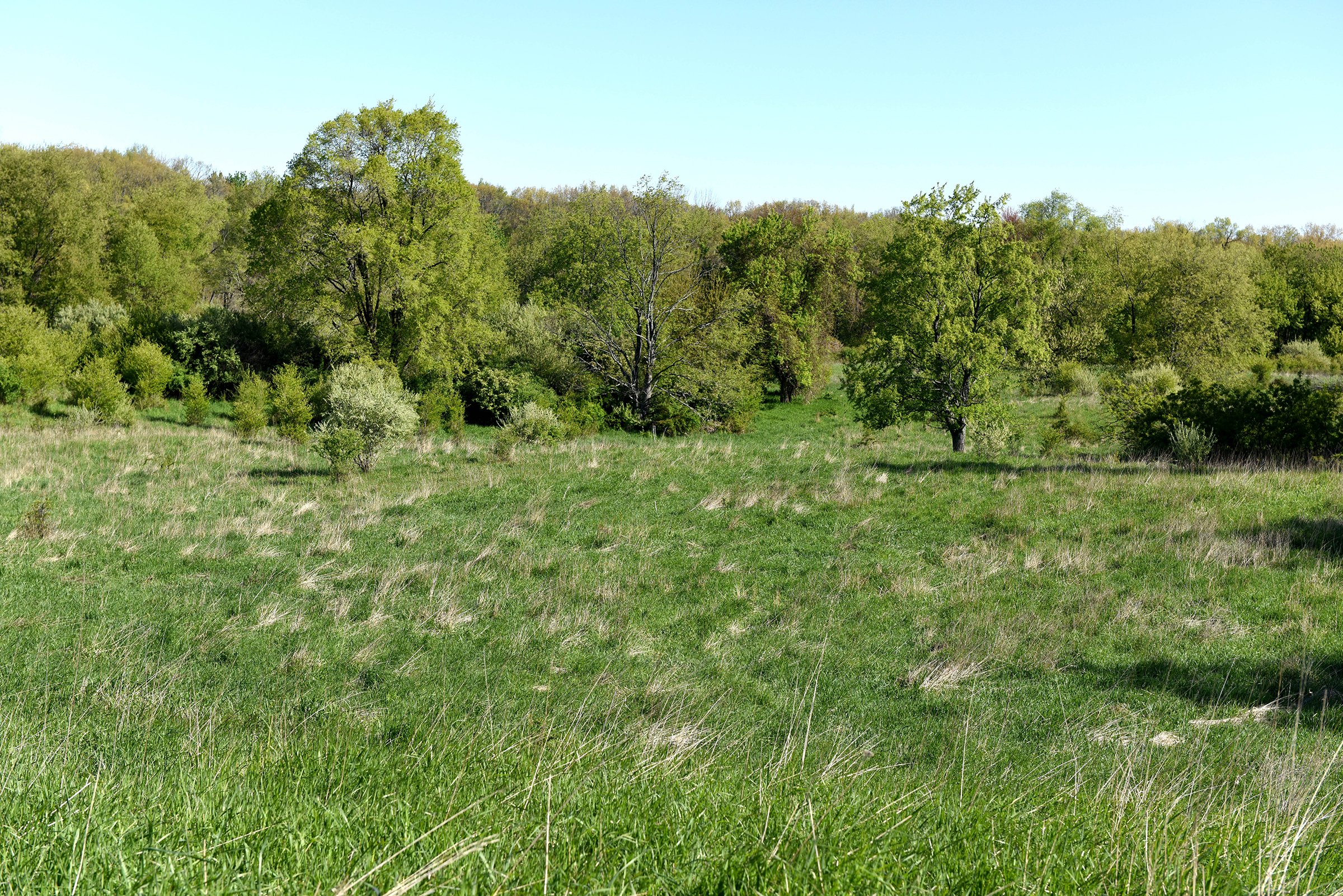 Property photo 44 - ONCE IN A LIFETIME OPPORTUNITY AUCTION - 183+/- ACRES IN 27 TRACTS IN BRANCH COUNTY, MICHIGAN