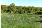 Property photo 44 - ONCE IN A LIFETIME OPPORTUNITY AUCTION - 183+/- ACRES IN 27 TRACTS IN BRANCH COUNTY, MICHIGAN