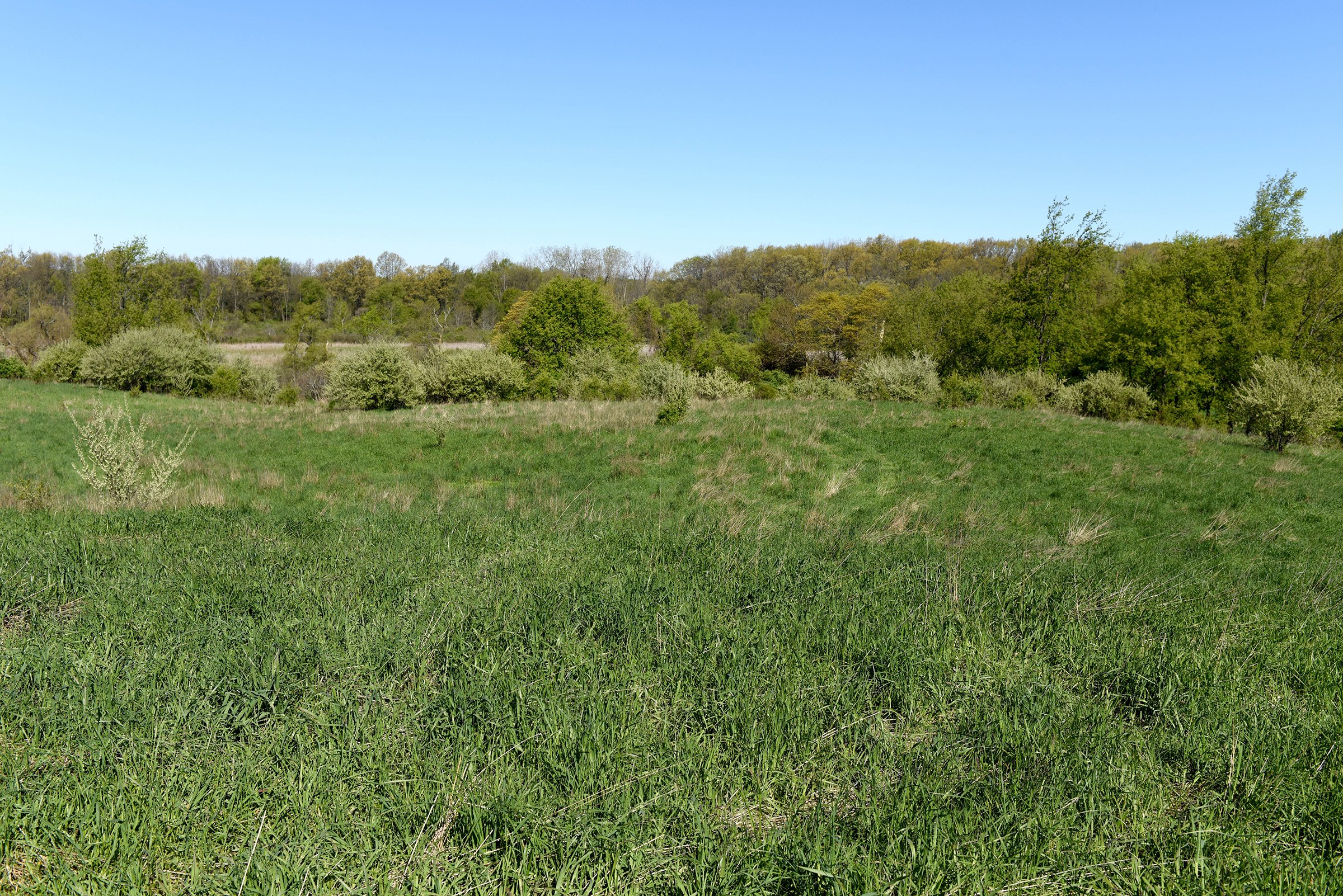 Property photo 52 - ONCE IN A LIFETIME OPPORTUNITY AUCTION - 183+/- ACRES IN 27 TRACTS IN BRANCH COUNTY, MICHIGAN