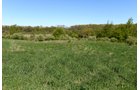 Property photo 52 - ONCE IN A LIFETIME OPPORTUNITY AUCTION - 183+/- ACRES IN 27 TRACTS IN BRANCH COUNTY, MICHIGAN