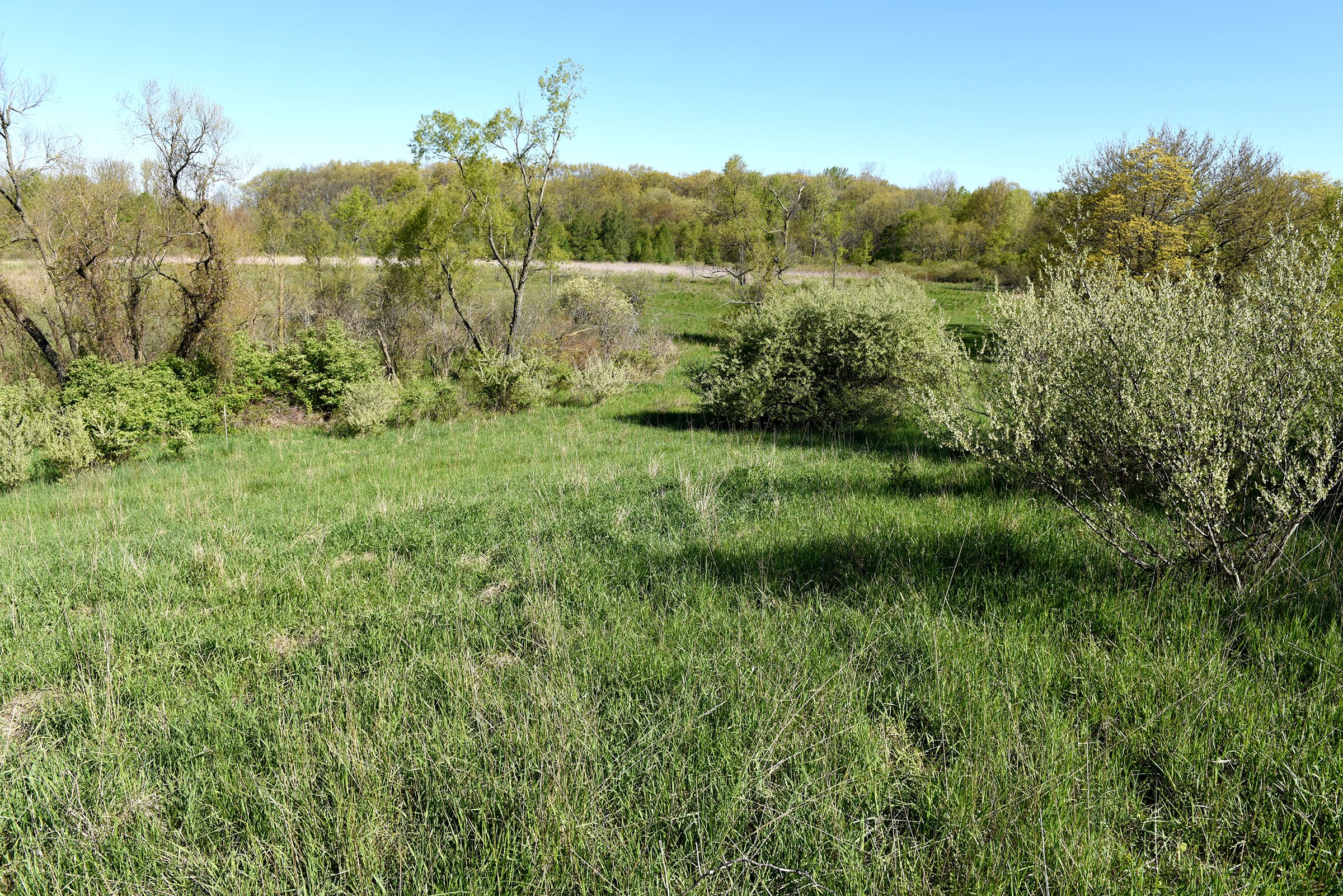 Property photo 51 - ONCE IN A LIFETIME OPPORTUNITY AUCTION - 183+/- ACRES IN 27 TRACTS IN BRANCH COUNTY, MICHIGAN