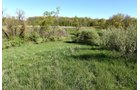 Property photo 51 - ONCE IN A LIFETIME OPPORTUNITY AUCTION - 183+/- ACRES IN 27 TRACTS IN BRANCH COUNTY, MICHIGAN